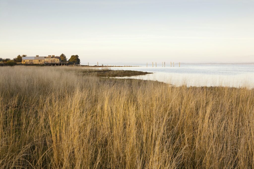 Coastline, beach and view along the shore