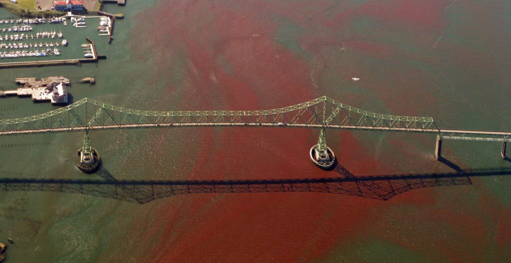 Red Tide under bridge