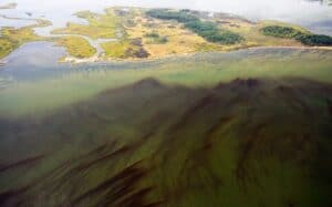 Rust tide in the lower YOrk River