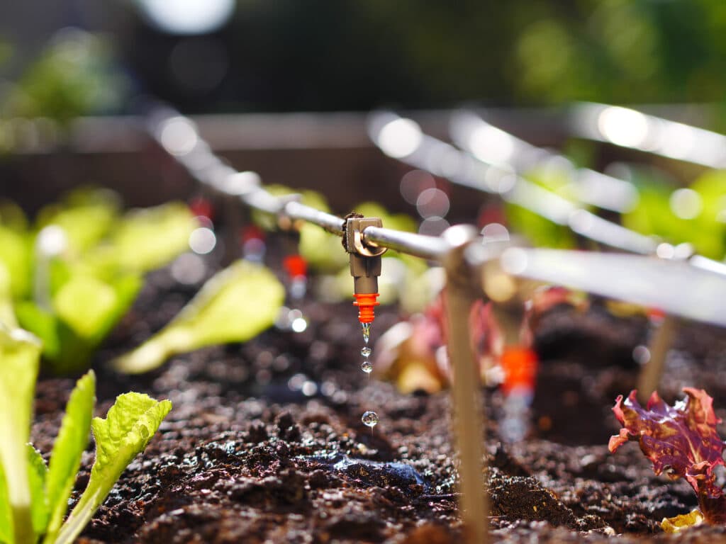 Drip irrigation system in a garden bed